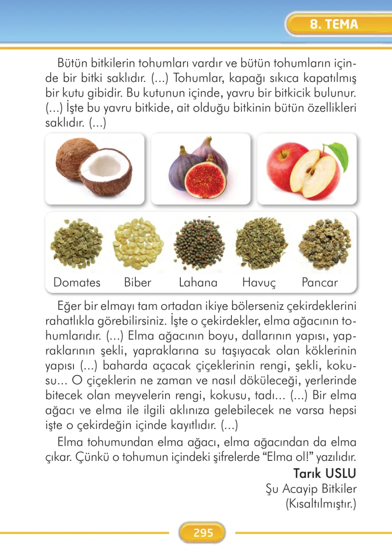 2. Sınıf Türkçe Ders Kitabı Cevapları İlke Yayınları Sayfa 295