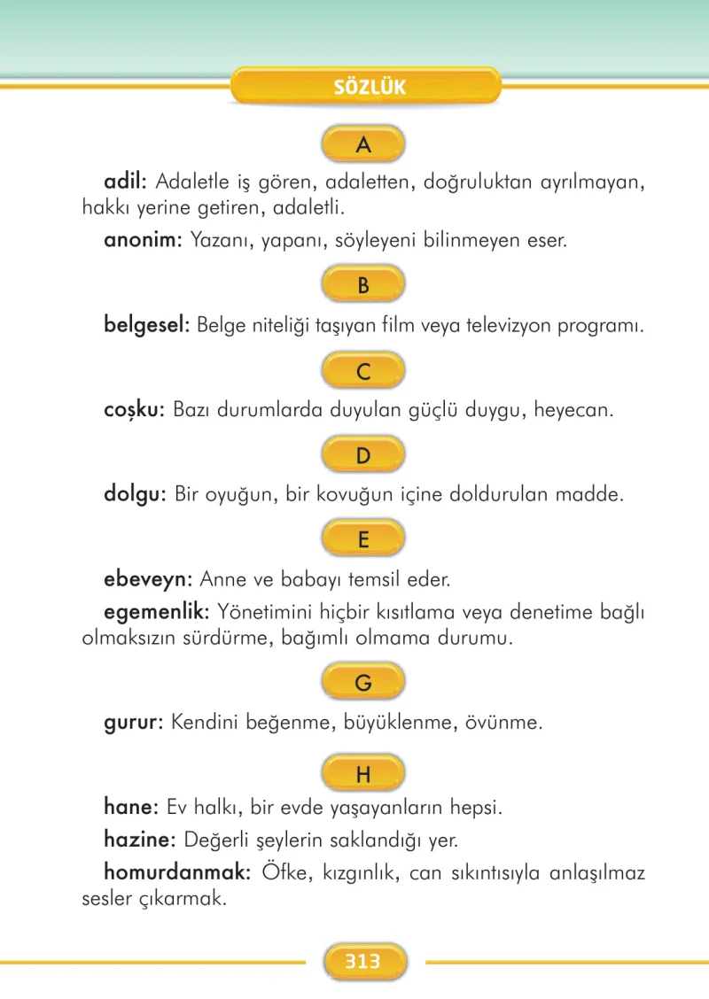 2. Sınıf Türkçe Ders Kitabı Cevapları İlke Yayınları Sayfa 313