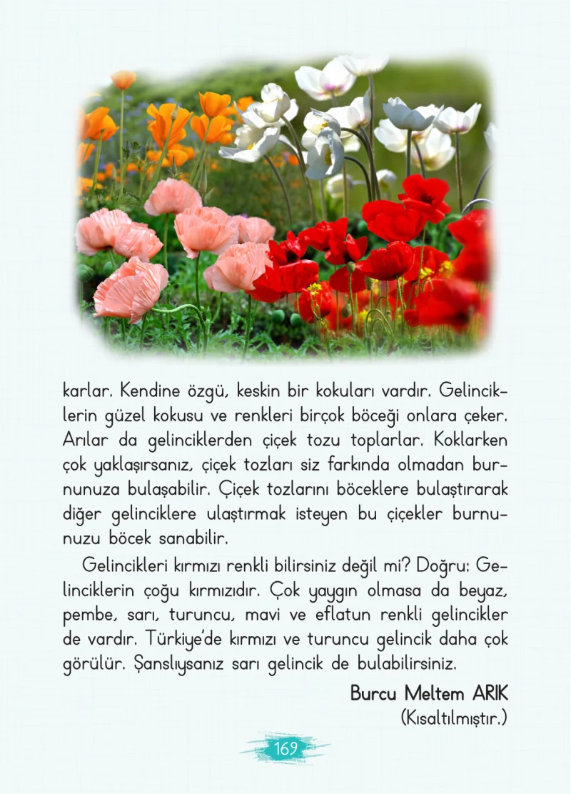 2. Sınıf Türkçe Ders Kitabı Cevapları Koza Yayınları Sayfa 169