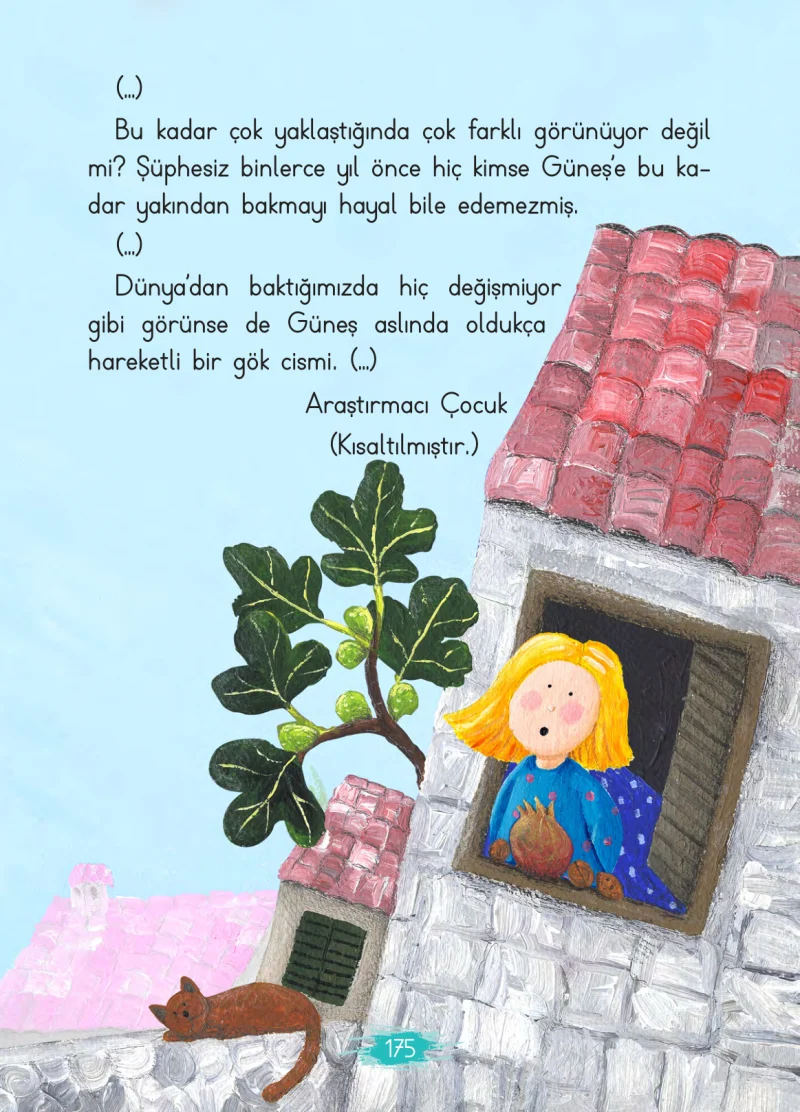 2. Sınıf Türkçe Ders Kitabı Cevapları Koza Yayınları Sayfa 175