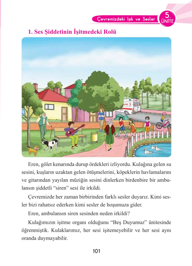 3. Sınıf Fen Bilimleri Ders Kitabı Cevapları Anka Yayınları Sayfa 101