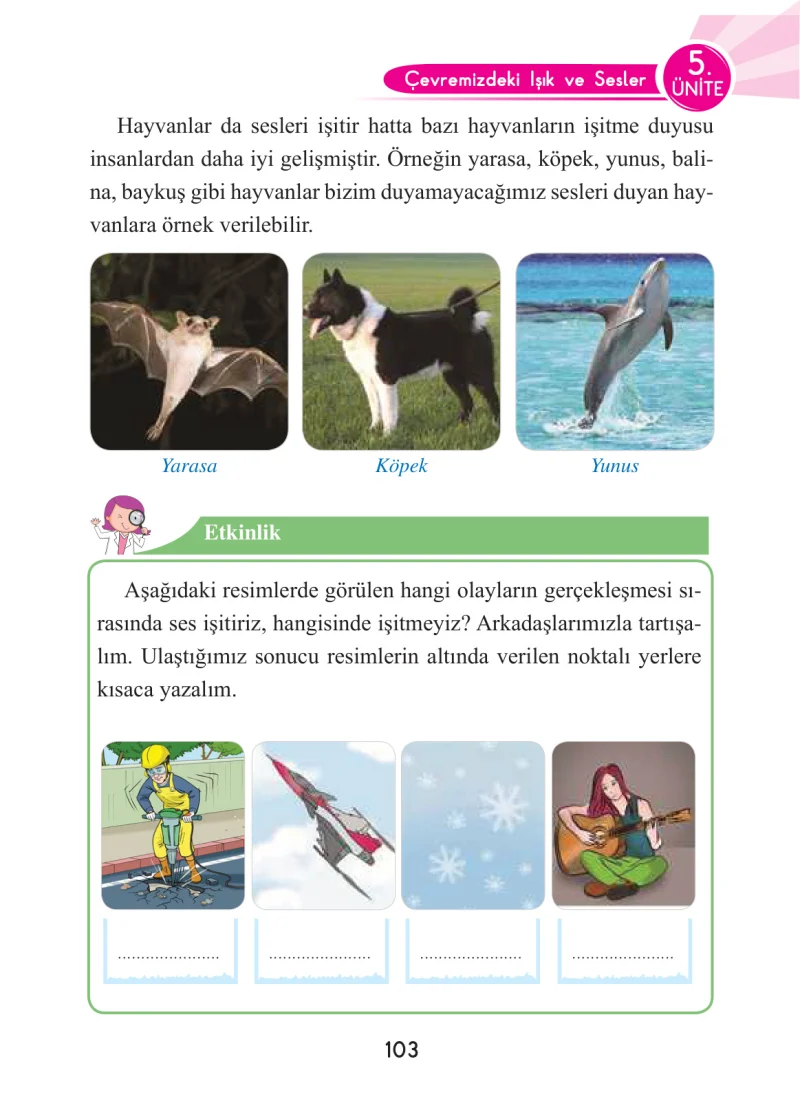 3. Sınıf Fen Bilimleri Ders Kitabı Cevapları Anka Yayınları Sayfa 103