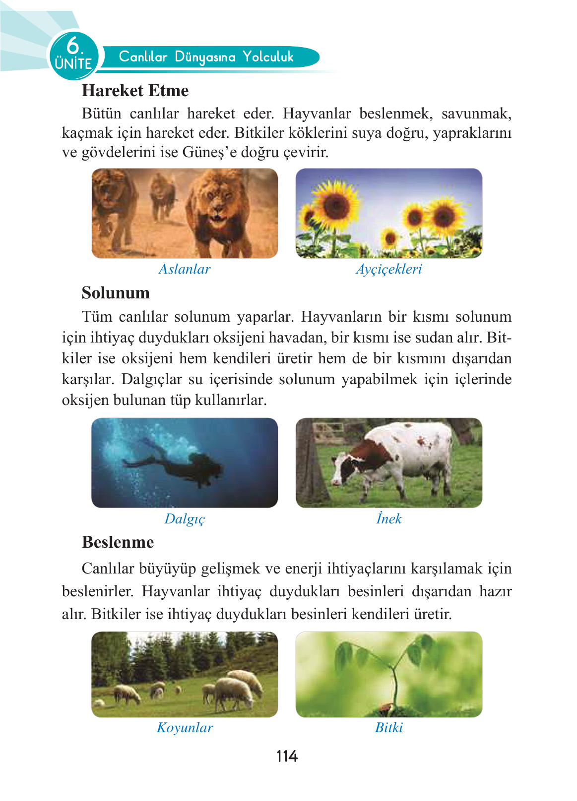 Kitap Sayfası