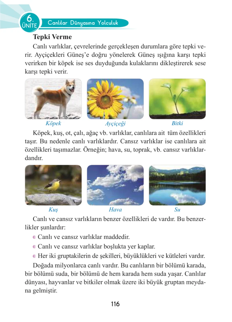 3. Sınıf Fen Bilimleri Ders Kitabı Cevapları Anka Yayınları Sayfa 116
