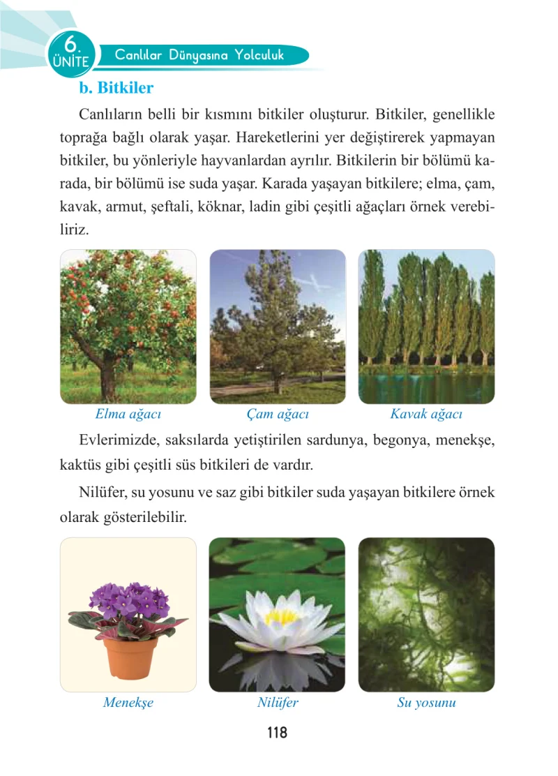 3. Sınıf Fen Bilimleri Ders Kitabı Cevapları Anka Yayınları Sayfa 118