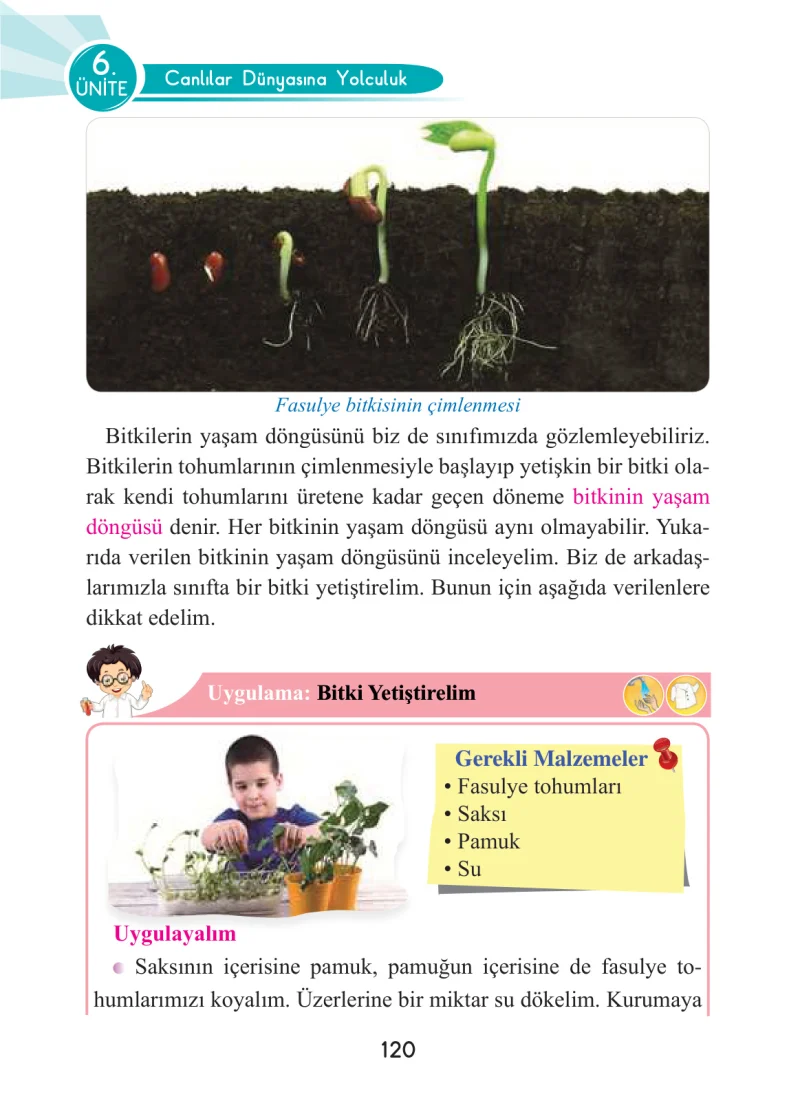 3. Sınıf Fen Bilimleri Ders Kitabı Cevapları Anka Yayınları Sayfa 120