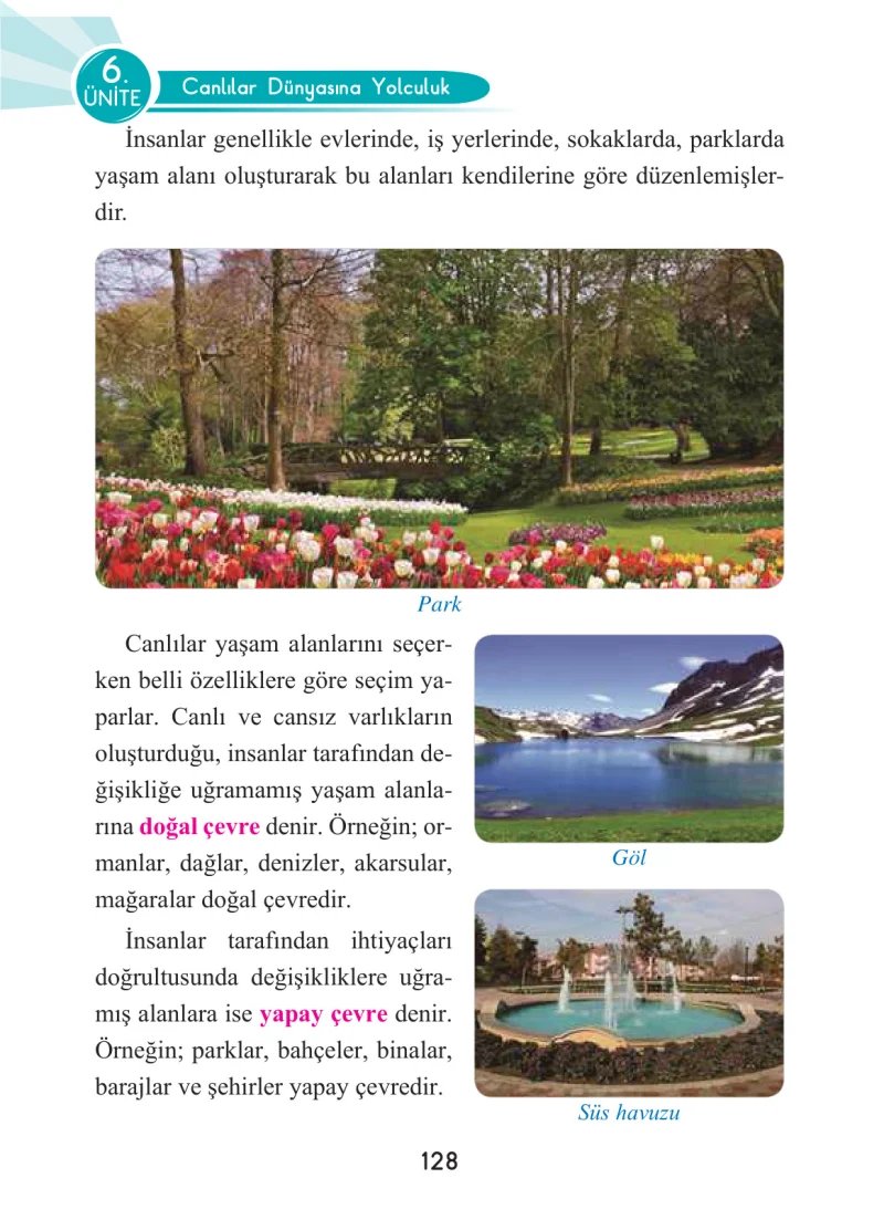 3. Sınıf Fen Bilimleri Ders Kitabı Cevapları Anka Yayınları Sayfa 128