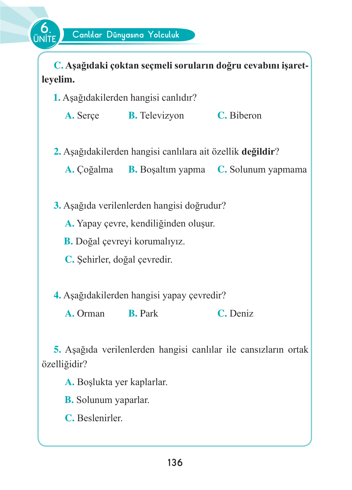 Kitap Sayfası