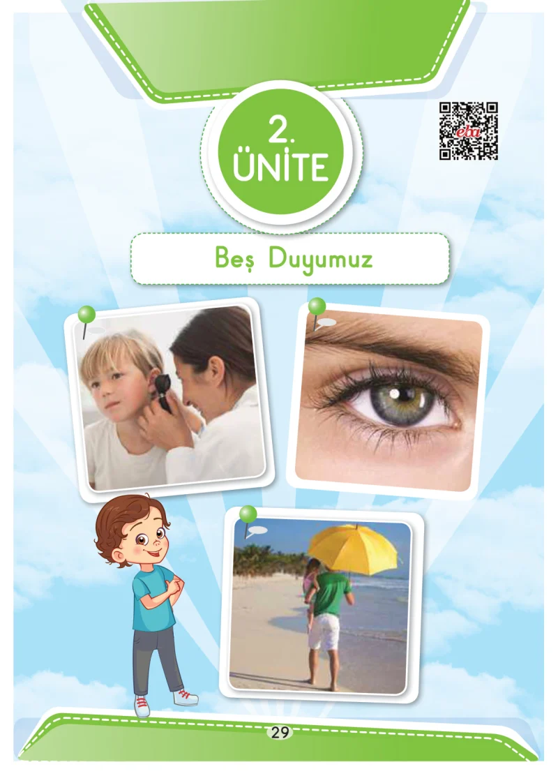 3. Sınıf Fen Bilimleri Ders Kitabı Cevapları Anka Yayınları Sayfa 29