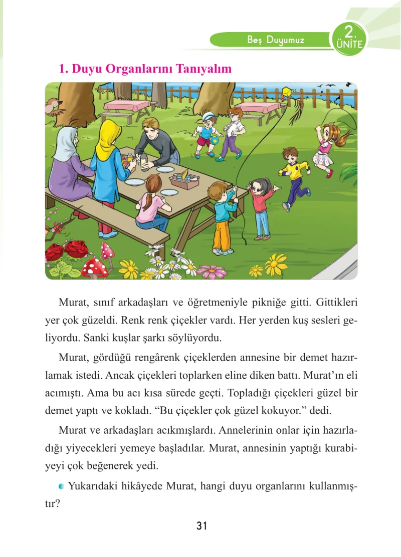 3. Sınıf Fen Bilimleri Ders Kitabı Cevapları Anka Yayınları Sayfa 31