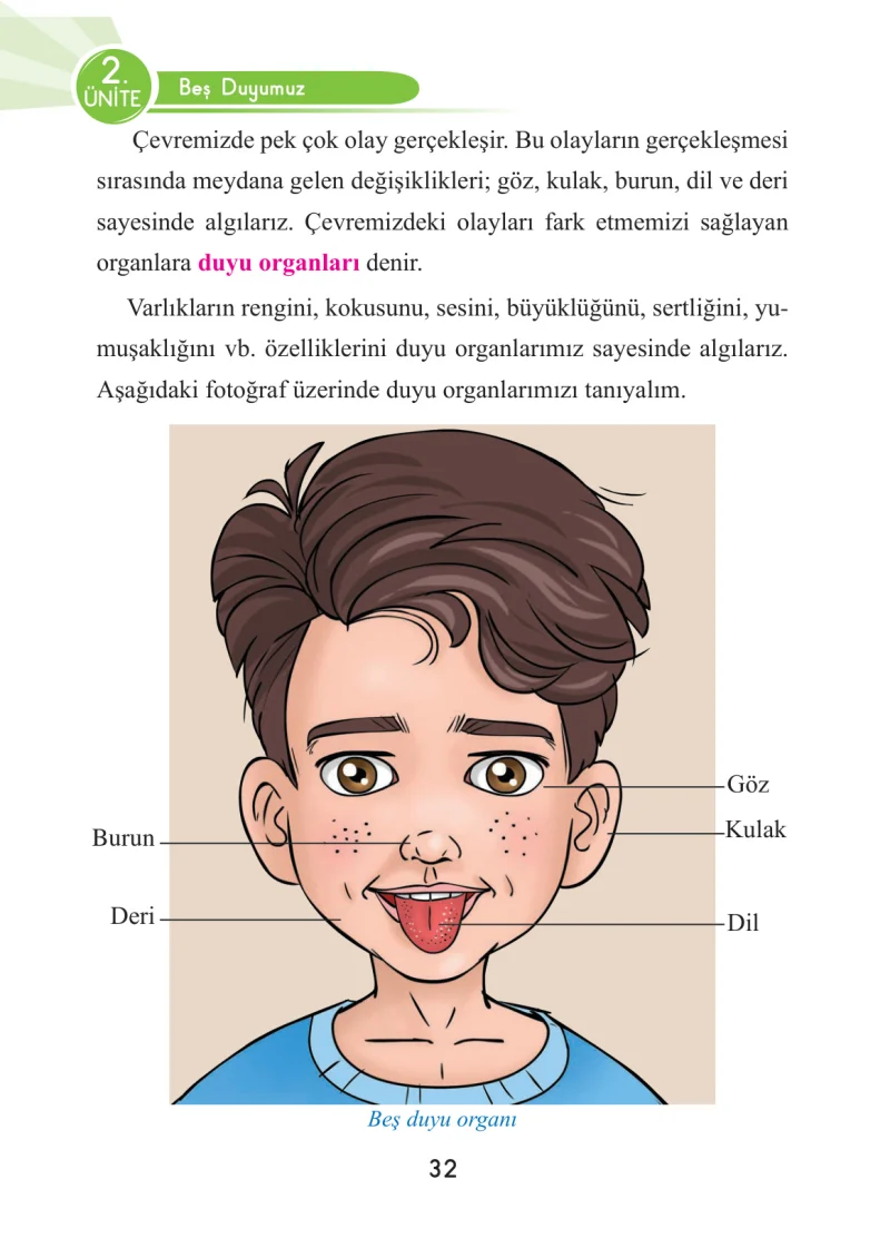 3. Sınıf Fen Bilimleri Ders Kitabı Cevapları Anka Yayınları Sayfa 32