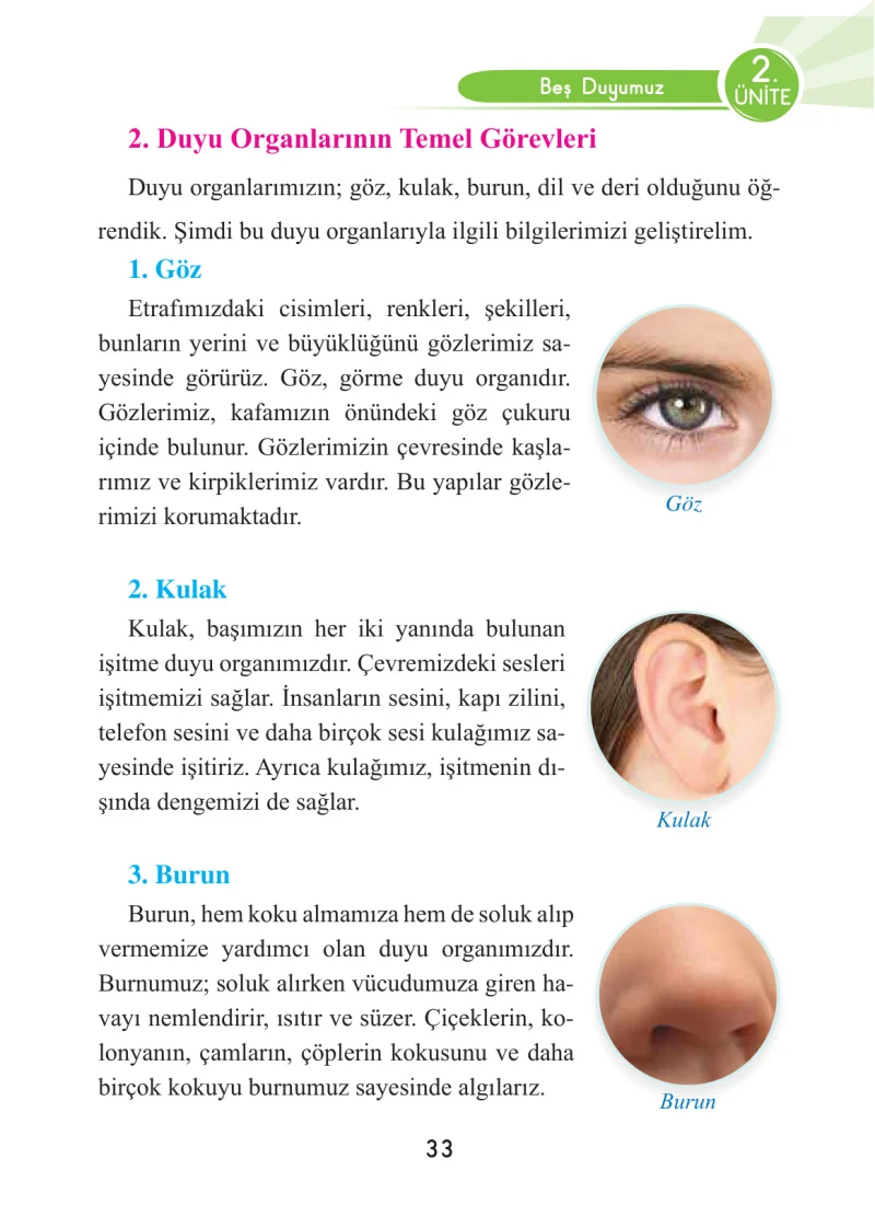 3. Sınıf Fen Bilimleri Ders Kitabı Cevapları Anka Yayınları Sayfa 33