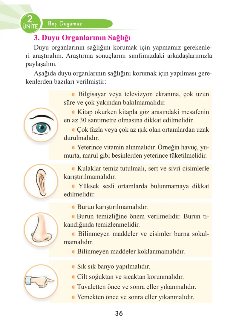 3. Sınıf Fen Bilimleri Ders Kitabı Cevapları Anka Yayınları Sayfa 36