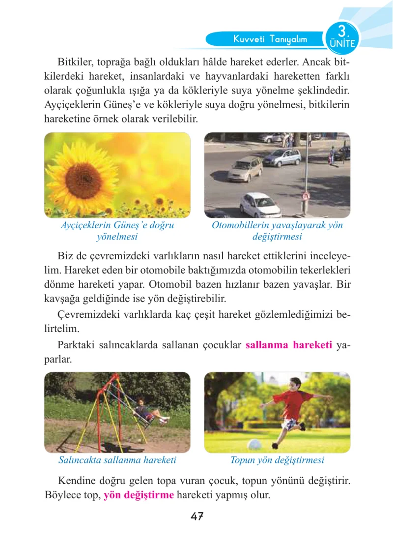 3. Sınıf Fen Bilimleri Ders Kitabı Cevapları Anka Yayınları Sayfa 47