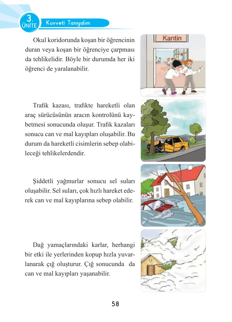 3. Sınıf Fen Bilimleri Ders Kitabı Cevapları Anka Yayınları Sayfa 58
