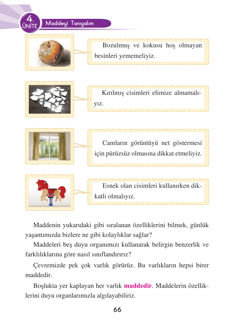 3. Sınıf Fen Bilimleri Ders Kitabı Cevapları Anka Yayınları Sayfa 66