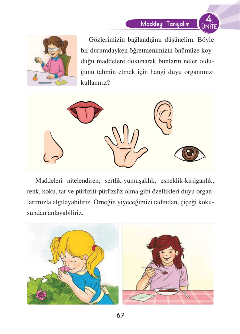 3. Sınıf Fen Bilimleri Ders Kitabı Cevapları Anka Yayınları Sayfa 67