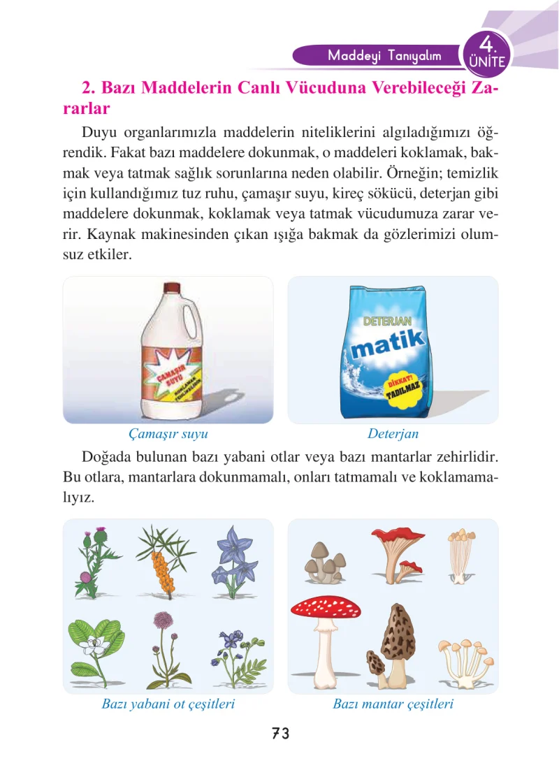 3. Sınıf Fen Bilimleri Ders Kitabı Cevapları Anka Yayınları Sayfa 73