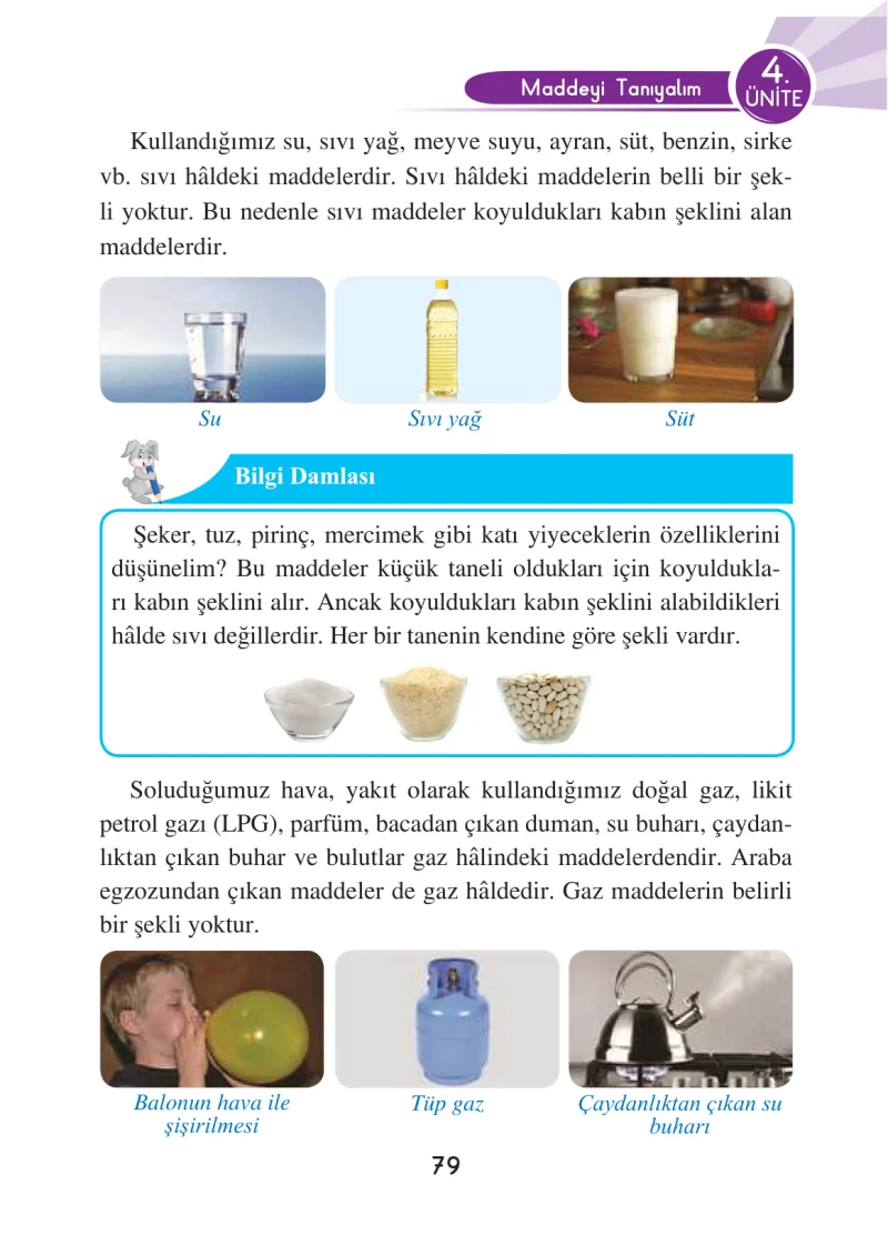 3. Sınıf Fen Bilimleri Ders Kitabı Cevapları Anka Yayınları Sayfa 79