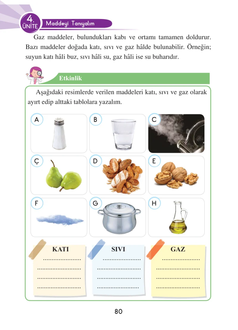 3. Sınıf Fen Bilimleri Ders Kitabı Cevapları Anka Yayınları Sayfa 80
