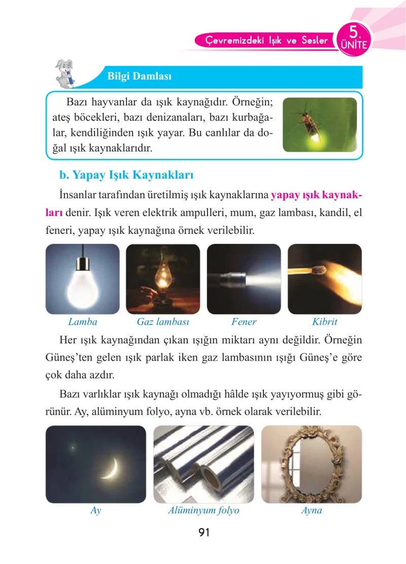 3. Sınıf Fen Bilimleri Ders Kitabı Cevapları Anka Yayınları Sayfa 91