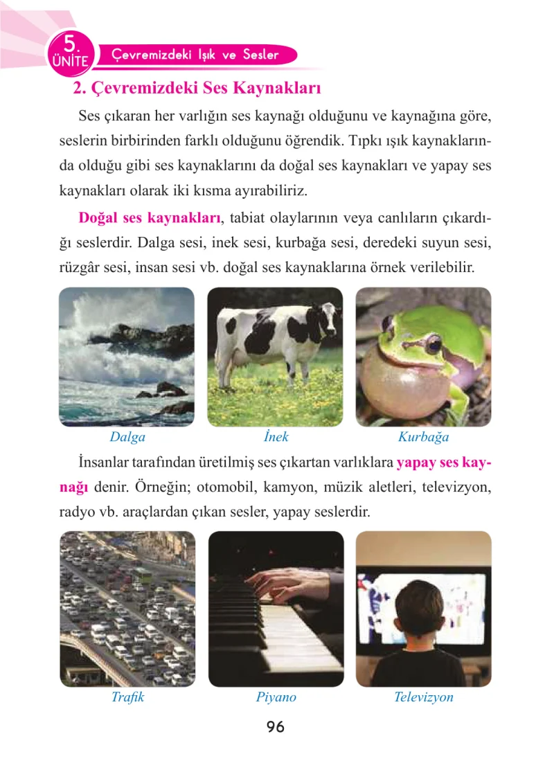 3. Sınıf Fen Bilimleri Ders Kitabı Cevapları Anka Yayınları Sayfa 96