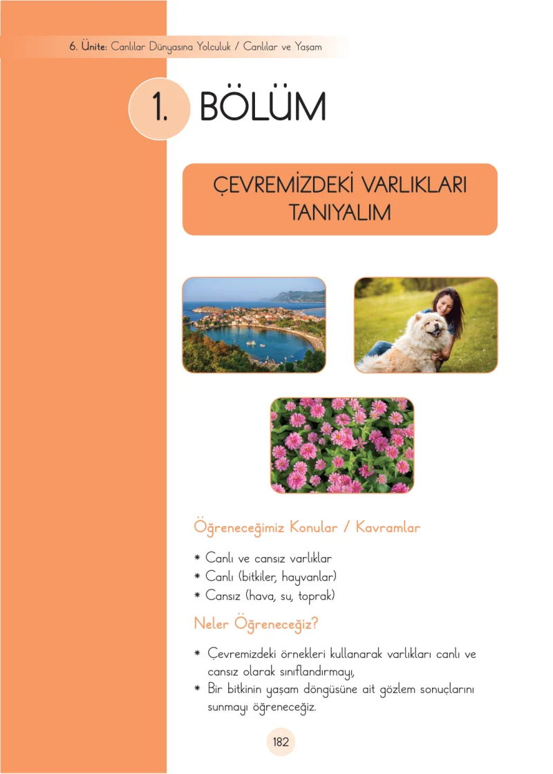 3. Sınıf Fen Bilimleri Ders Kitabı Cevapları Cem Yayınları Sayfa 182
