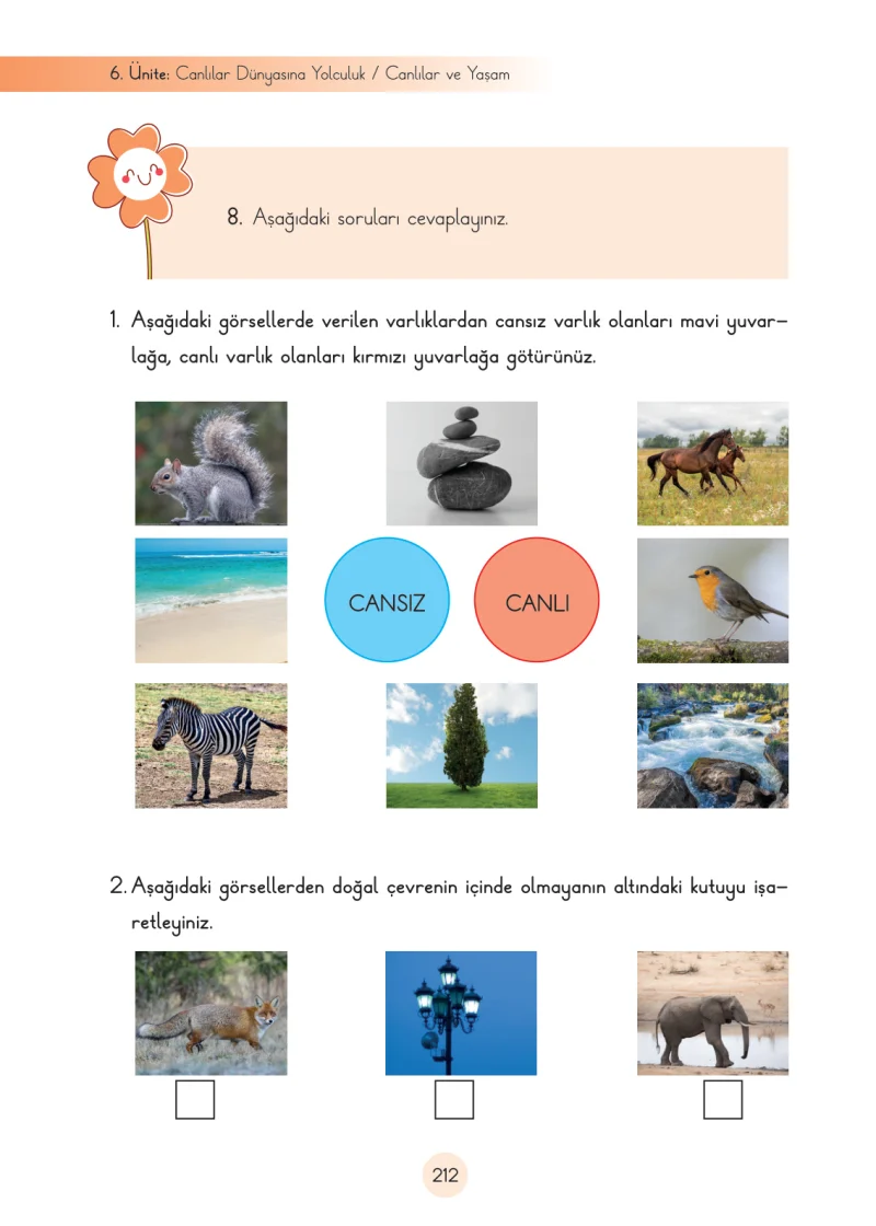 3. Sınıf Fen Bilimleri Ders Kitabı Cevapları Cem Yayınları Sayfa 212
