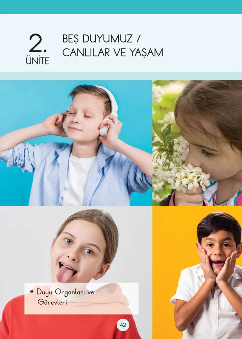 3. Sınıf Fen Bilimleri Ders Kitabı Cevapları Cem Yayınları Sayfa 42