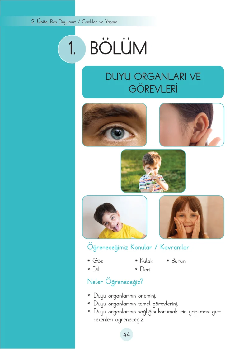 3. Sınıf Fen Bilimleri Ders Kitabı Cevapları Cem Yayınları Sayfa 44