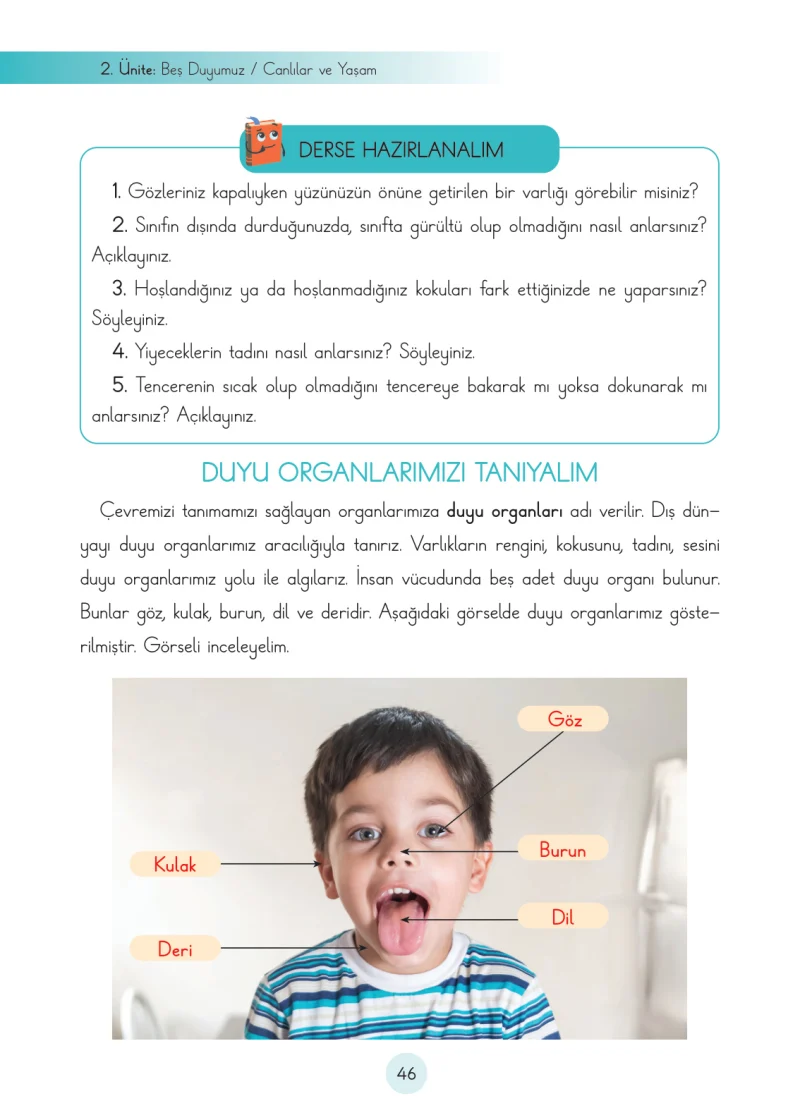 3. Sınıf Fen Bilimleri Ders Kitabı Cevapları Cem Yayınları Sayfa 46