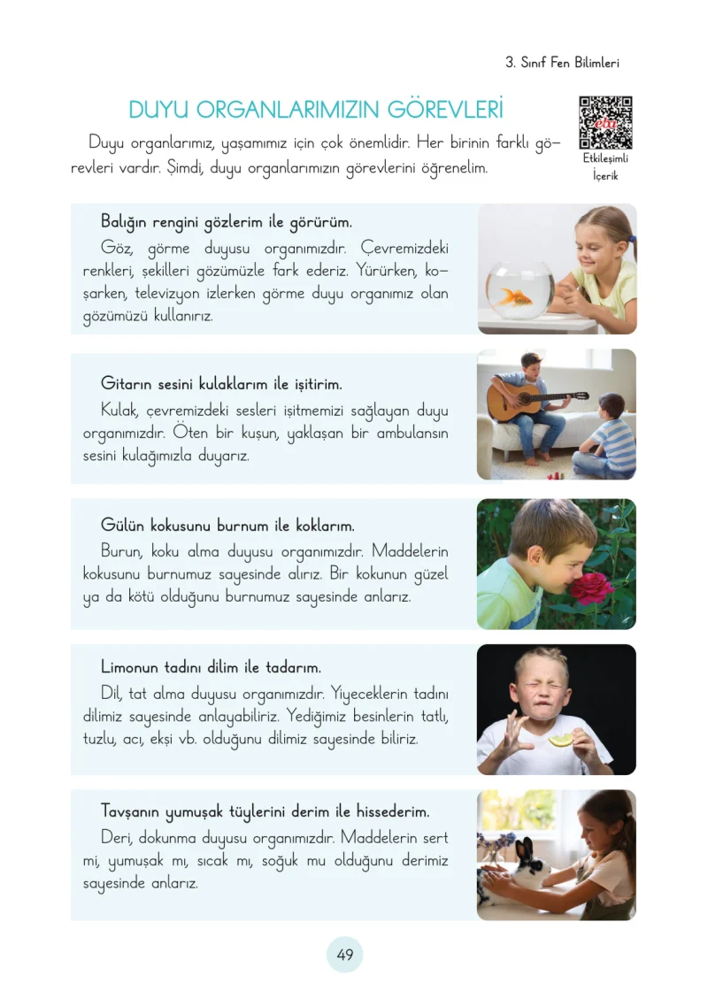 3. Sınıf Fen Bilimleri Ders Kitabı Cevapları Cem Yayınları Sayfa 49