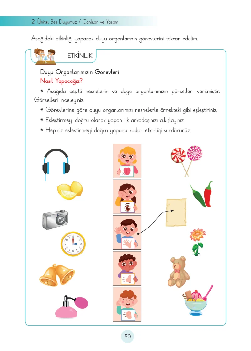3. Sınıf Fen Bilimleri Ders Kitabı Cevapları Cem Yayınları Sayfa 50