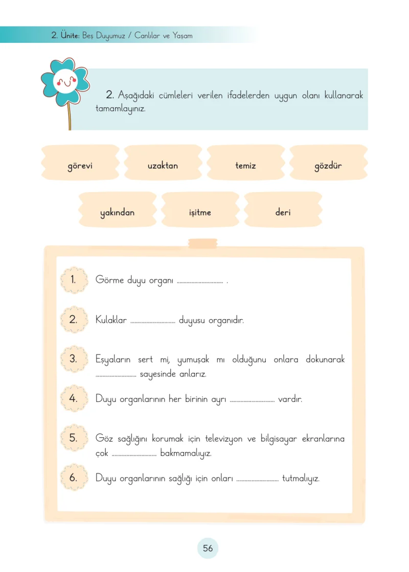 3. Sınıf Fen Bilimleri Ders Kitabı Cevapları Cem Yayınları Sayfa 56