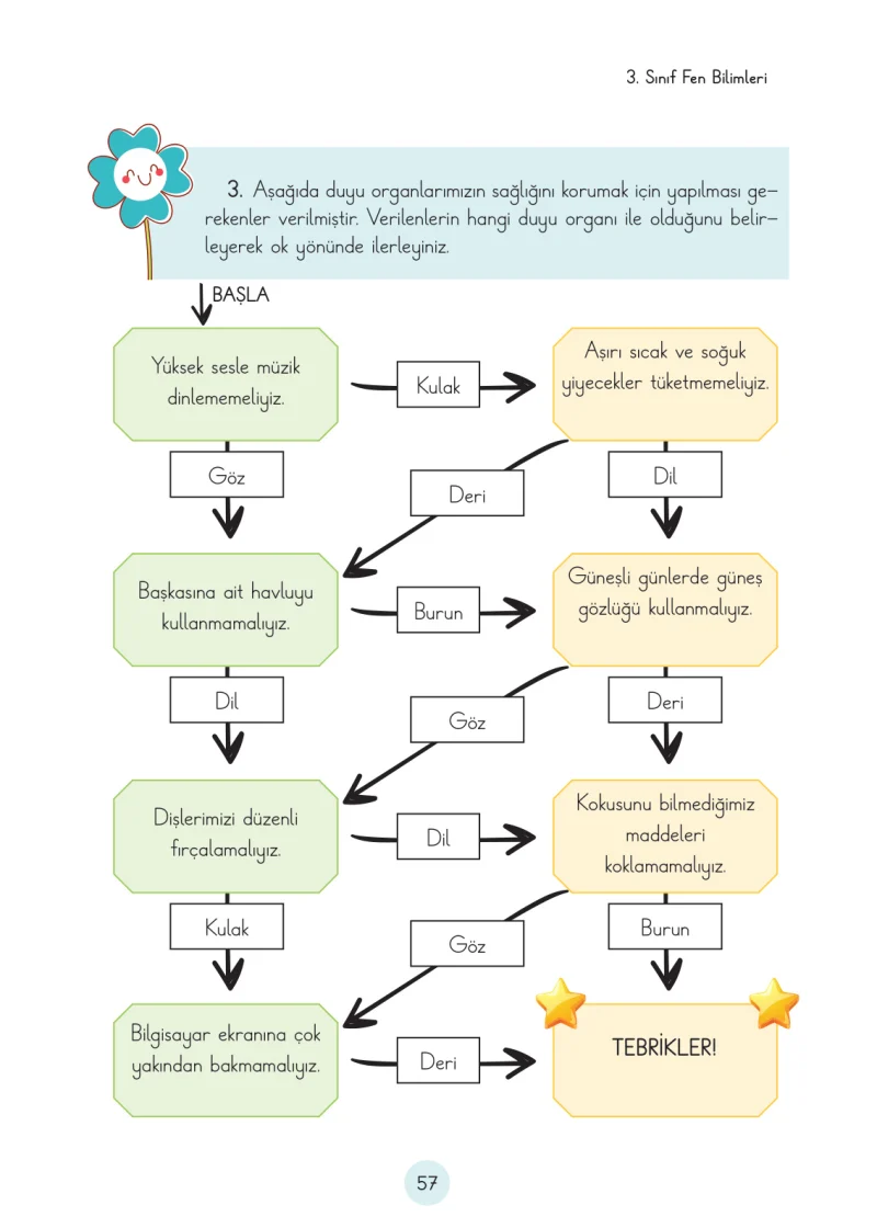 3. Sınıf Fen Bilimleri Ders Kitabı Cevapları Cem Yayınları Sayfa 57