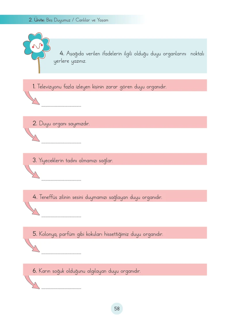3. Sınıf Fen Bilimleri Ders Kitabı Cevapları Cem Yayınları Sayfa 58