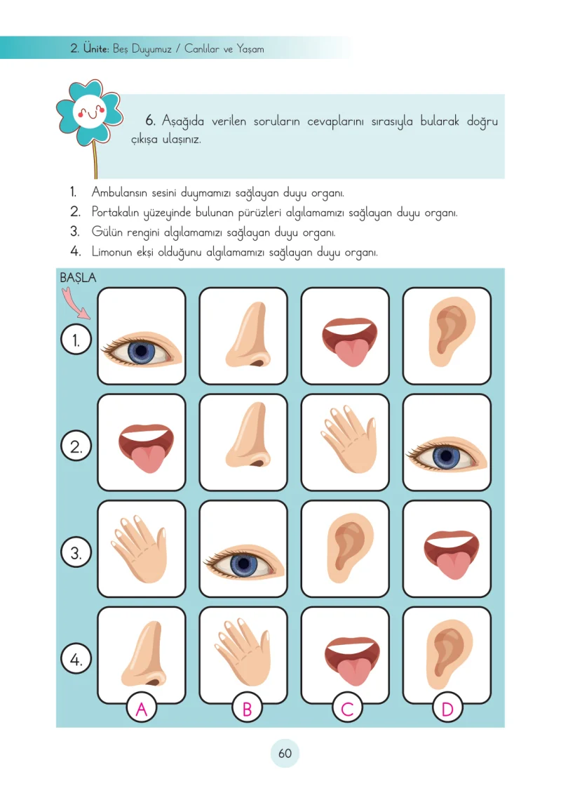 3. Sınıf Fen Bilimleri Ders Kitabı Cevapları Cem Yayınları Sayfa 60