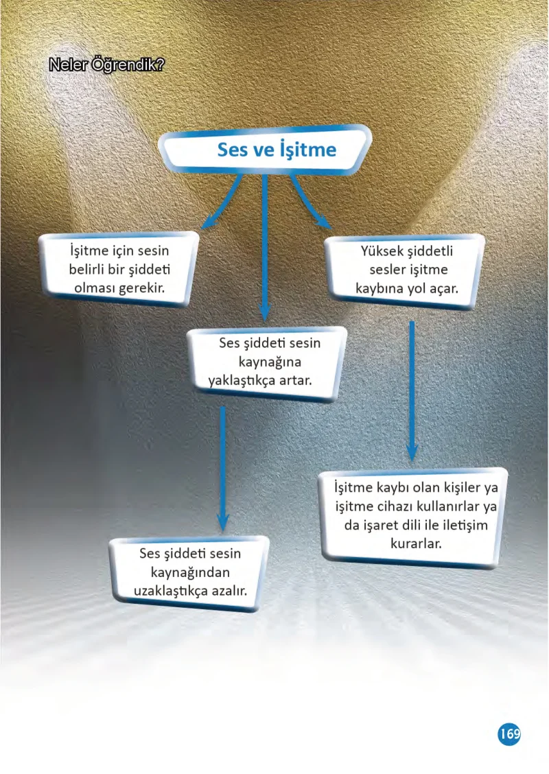 3. Sınıf Fen Bilimleri Ders Kitabı Cevapları Meb Yayınları 1 Sayfa 169