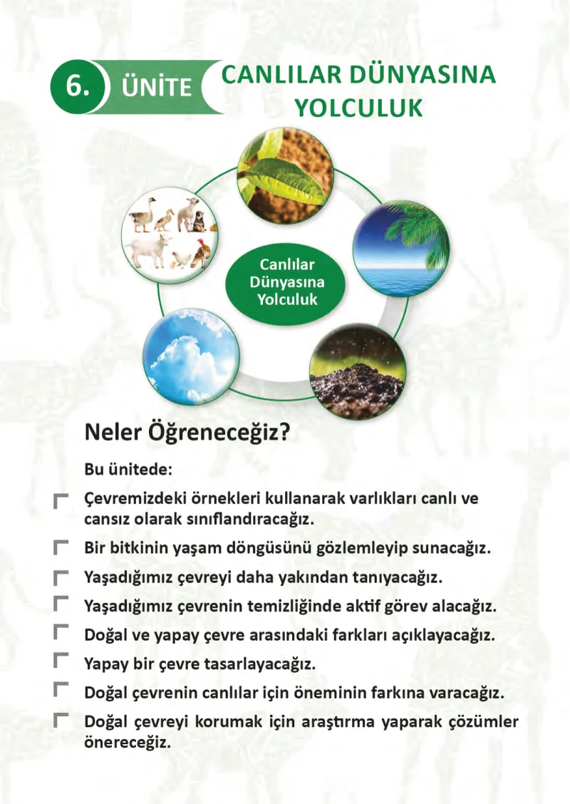 3. Sınıf Fen Bilimleri Ders Kitabı Cevapları Meb Yayınları 1 Sayfa 176