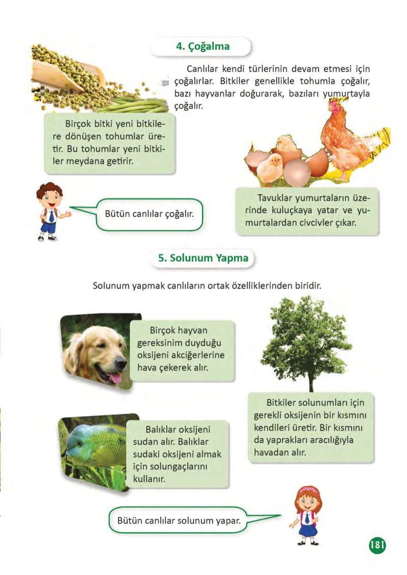 3. Sınıf Fen Bilimleri Ders Kitabı Cevapları Meb Yayınları 1 Sayfa 181
