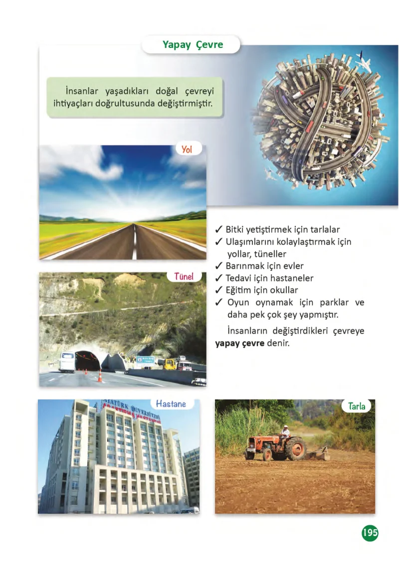 3. Sınıf Fen Bilimleri Ders Kitabı Cevapları Meb Yayınları 1 Sayfa 195
