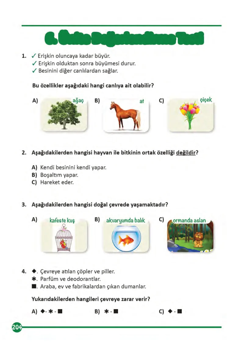 3. Sınıf Fen Bilimleri Ders Kitabı Cevapları Meb Yayınları 1 Sayfa 204