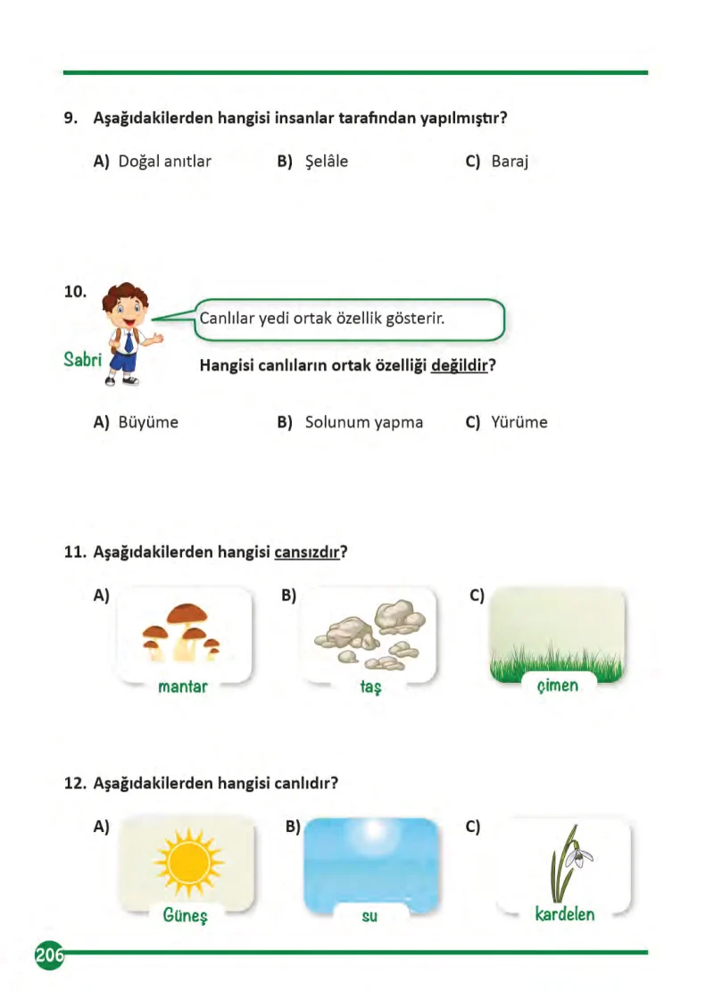 3. Sınıf Fen Bilimleri Ders Kitabı Cevapları Meb Yayınları 1 Sayfa 206