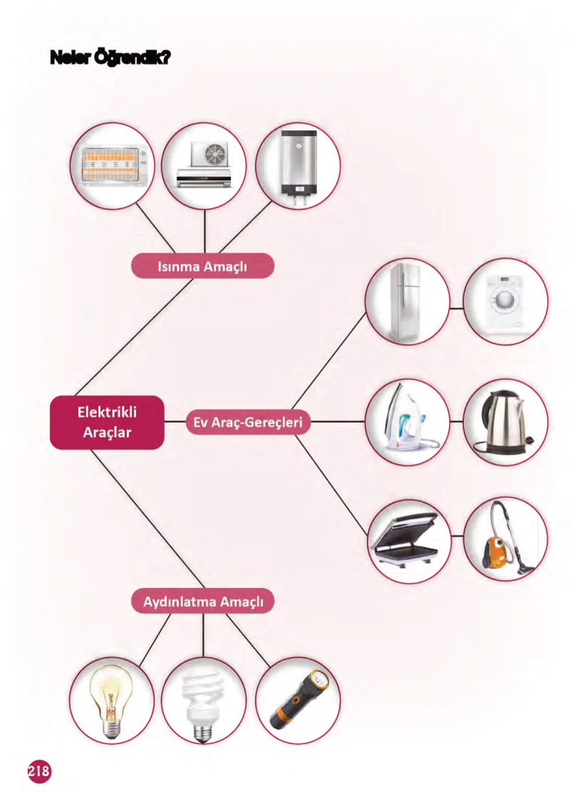 3. Sınıf Fen Bilimleri Ders Kitabı Cevapları Meb Yayınları 1 Sayfa 218