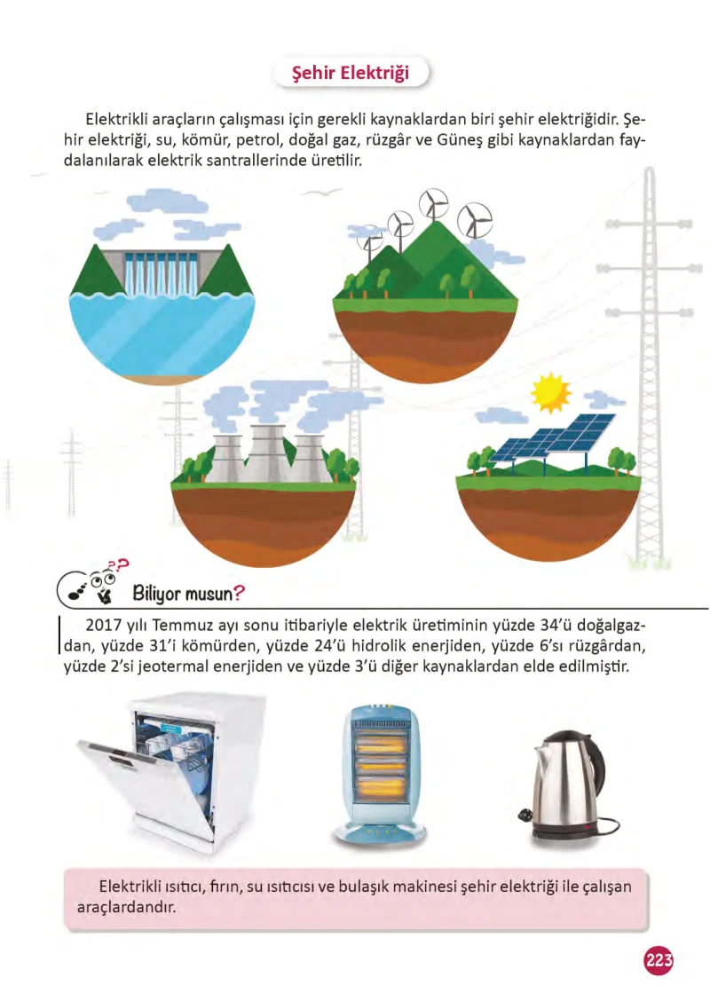 3. Sınıf Fen Bilimleri Ders Kitabı Cevapları Meb Yayınları 1 Sayfa 223