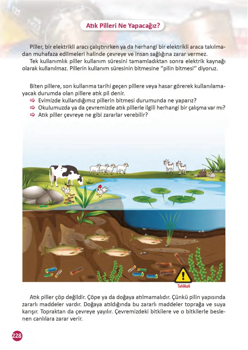 3. Sınıf Fen Bilimleri Ders Kitabı Cevapları Meb Yayınları 1 Sayfa 228