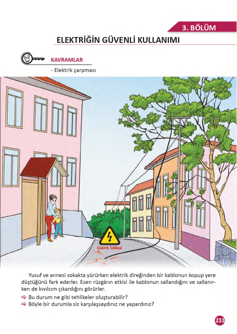 3. Sınıf Fen Bilimleri Ders Kitabı Cevapları Meb Yayınları 1 Sayfa 233