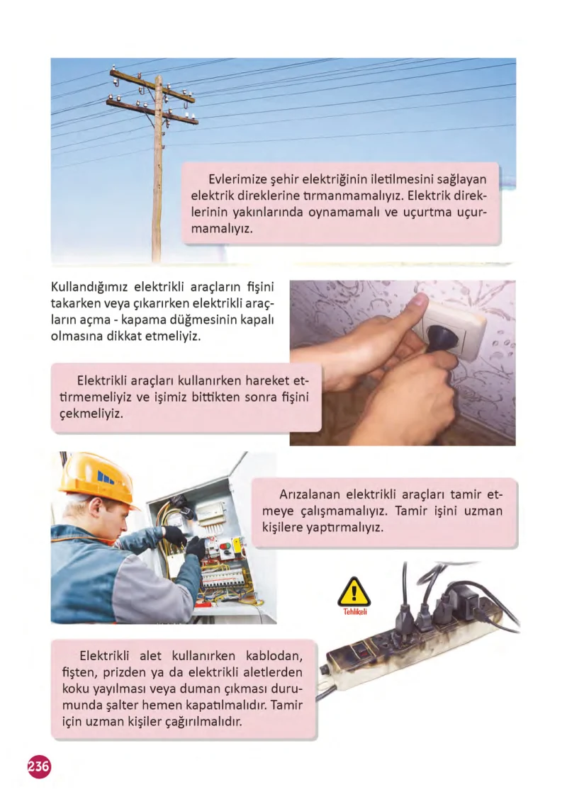 3. Sınıf Fen Bilimleri Ders Kitabı Cevapları Meb Yayınları 1 Sayfa 236