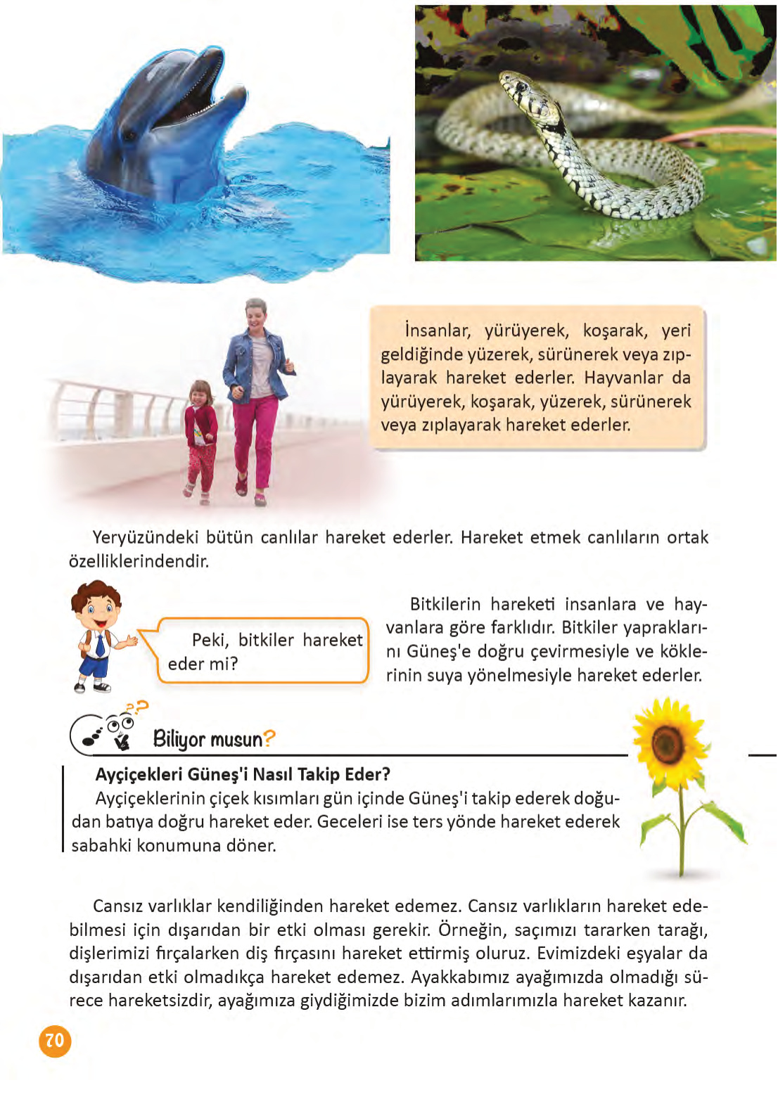 Kitap Sayfası