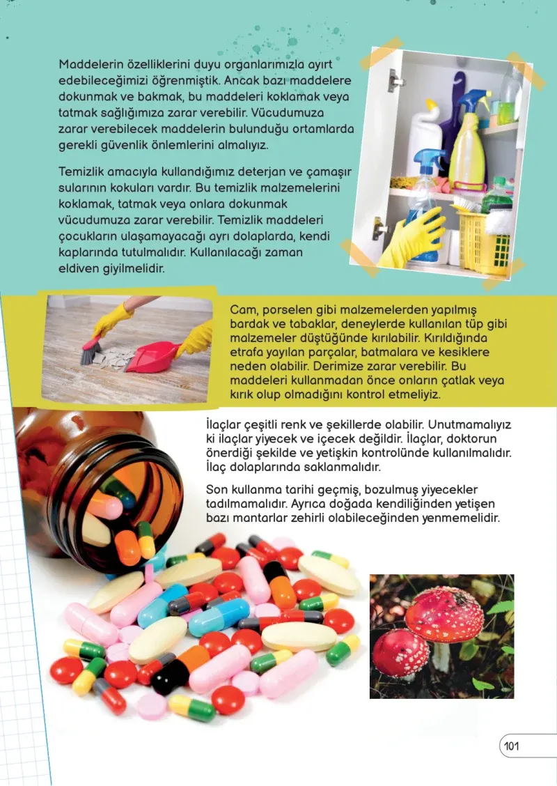 3. Sınıf Fen Bilimleri Ders Kitabı Cevapları Meb Yayınları Sayfa 101